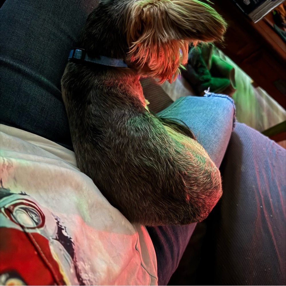 vs bra - Picture 2 of 3